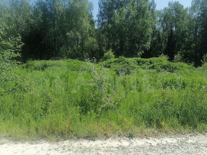 Участок 10 сот. (СНТ, ДНП)