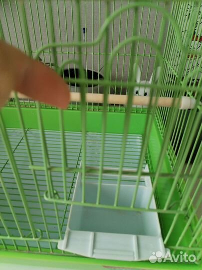 Большая клетка для птиц