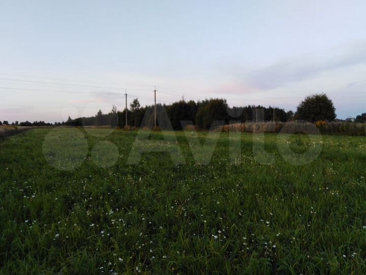 Участок 26,6 сот. (СНТ, ДНП)