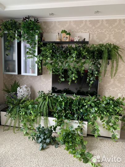 Вертикальное озеленение, подвесные сады, фитостена