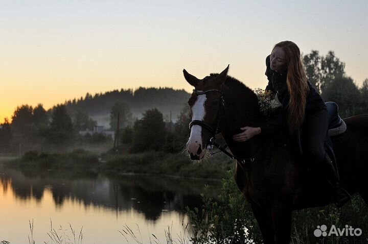 Конные прогулки/фотосессии/аренда лошади