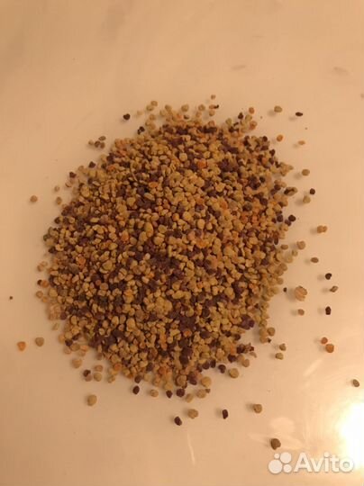 Пыльца пчелиная