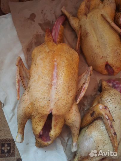 Мясо индоутки