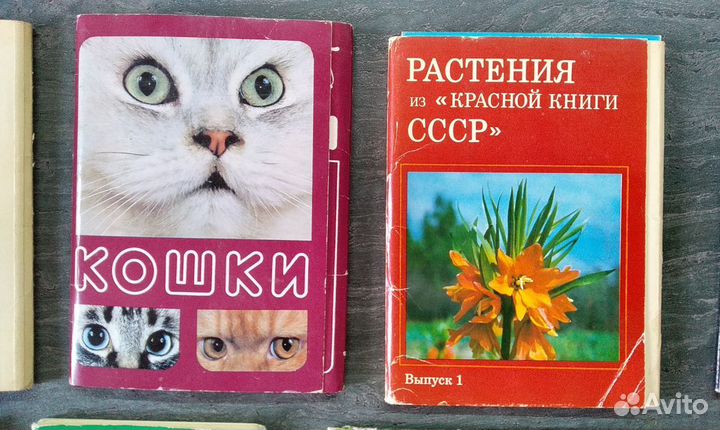 Открытки СССР