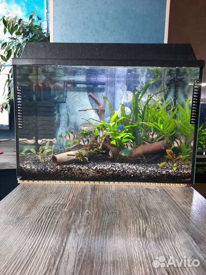 Аквариум
