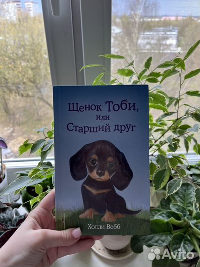 Книги холли вебб щенки