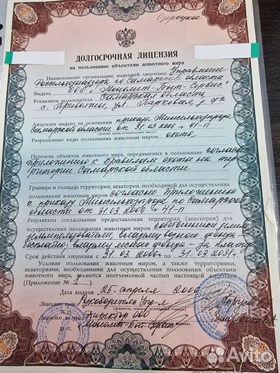 Охота на гуся