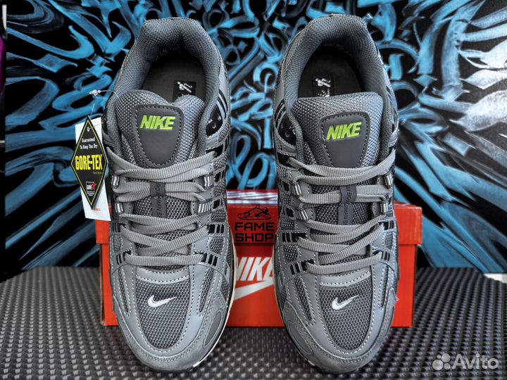 Кроссовки Nike P-6000 Gore-Tex Термо