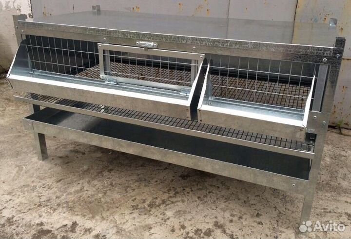 Клетка для 30-50 перепелов