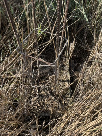 Участок 6 сот. (ИЖС)