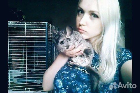 Передержка для животных. Ситтер. Выгул собак