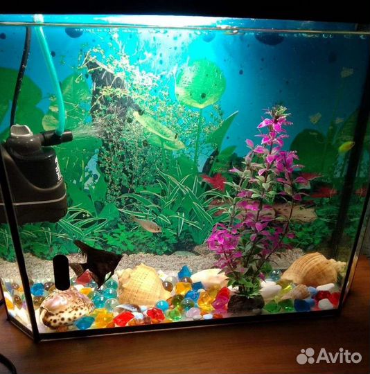 Аквариум