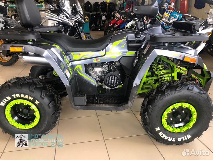 200 wild track X winch