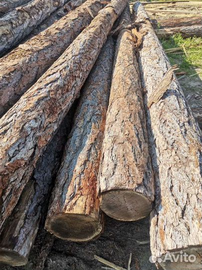 Брус доска жд отправка. Экспорт и по РФ. Ель/листв