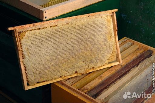 Мед натуральный липа/горное разнотравие