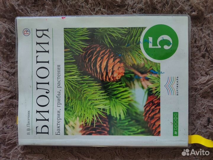 Школьные учебники