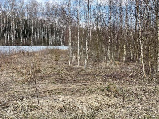 Участок 25 сот. (ИЖС)