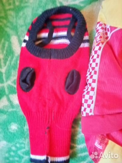 Одежда для собак