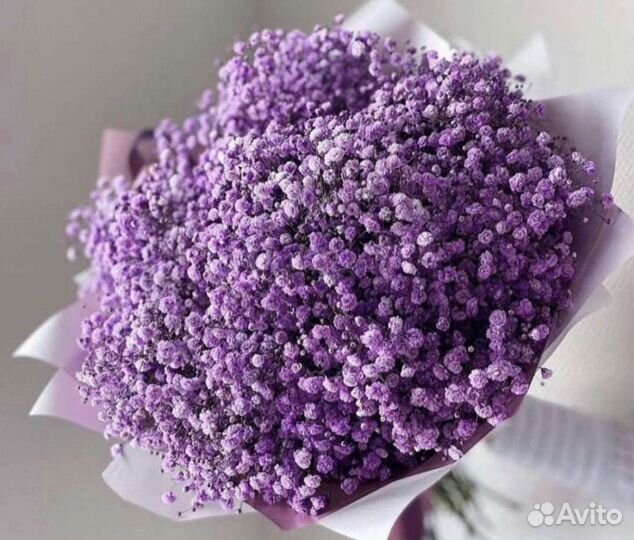 Гипсофила Лаванда в Букете