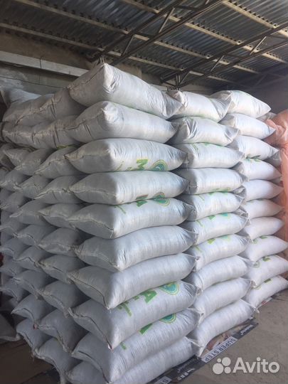 Отход семечки