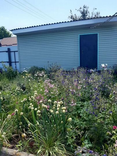 Дом 65 м² на участке 15 сот.