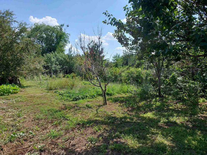 Участок 5,4 сот. (СНТ, ДНП)