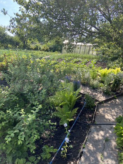 Дача 16 м² на участке 10 сот.