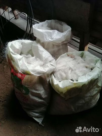 Пух козий белый