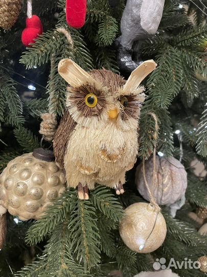 Сова натуральная