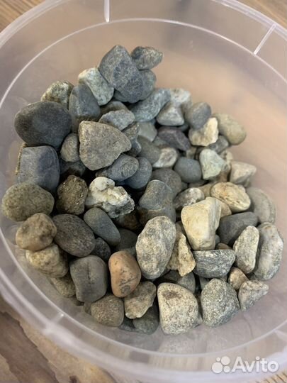 Набор для создания флорариума