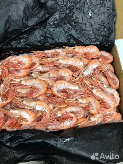 Креветка Ботан