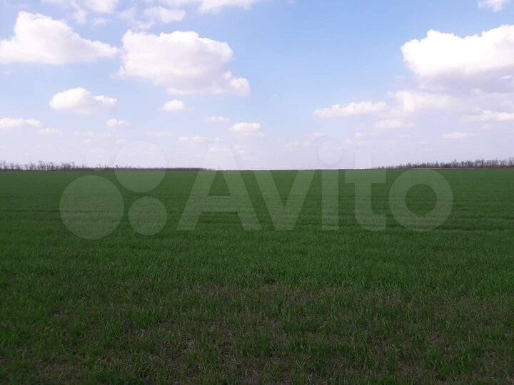 Участок 4,57 га (СНТ, ДНП)