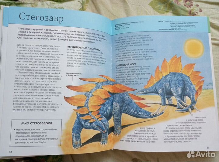 Полная энциклопедия Динозавры