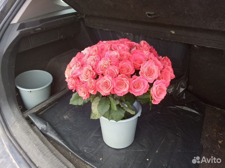 Доставка роз оптом