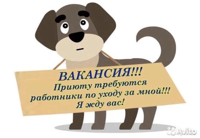 Разнорабочий