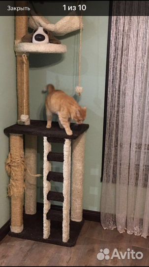 Дом для кота,Чехия