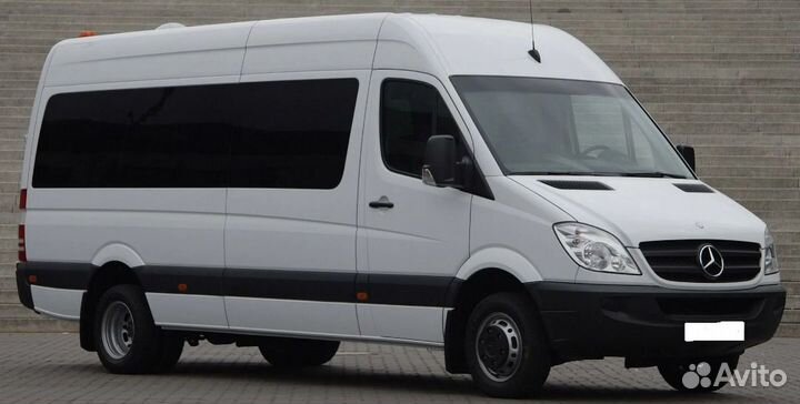 Водитель микроавтобуса