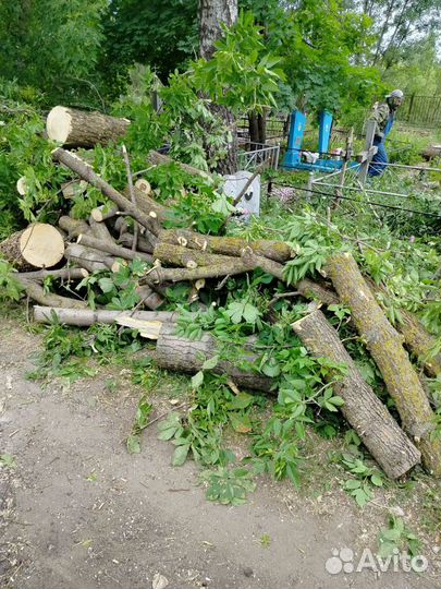 Дрова березовые чурками