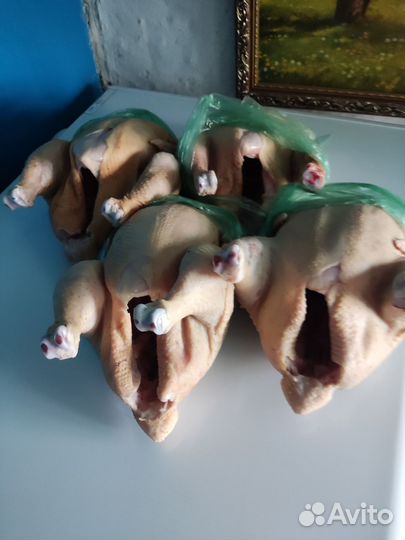 Куры бройлеры тушки мясо