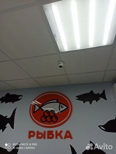 Система видеонаблюдения в частный дом / для бизнес