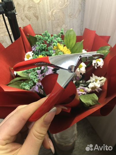 Когтеточка для кошек