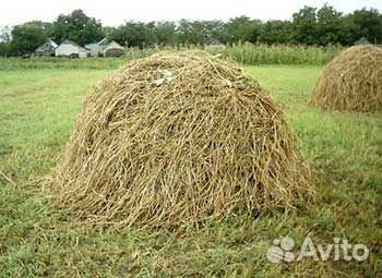 Сено