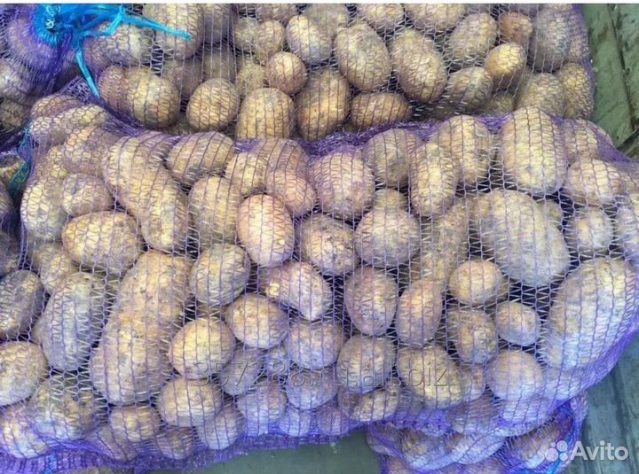 Картофель оптом