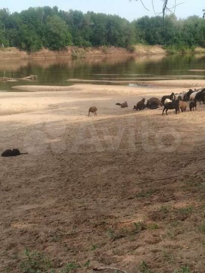 Участок 14000 га (СНТ, ДНП)