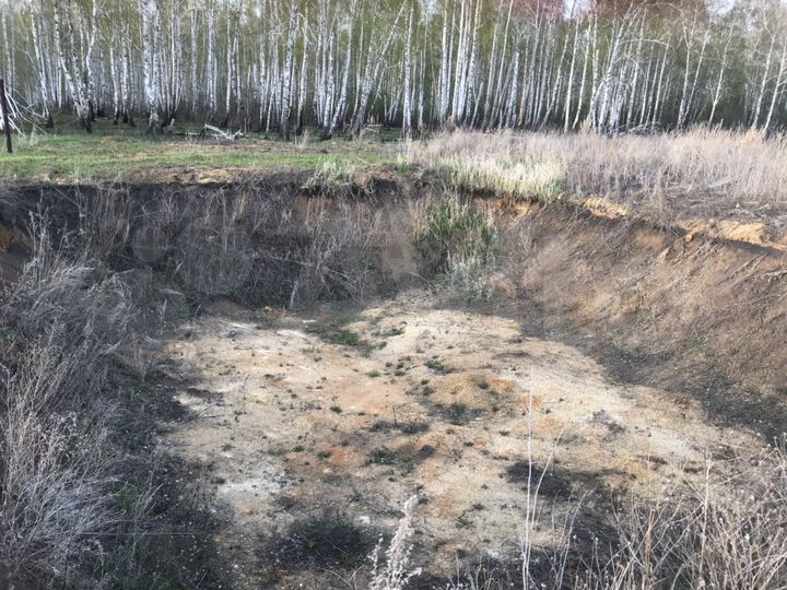 Участок 22 сот. (СНТ, ДНП)