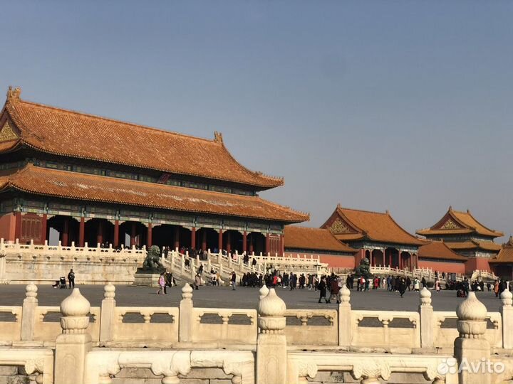 Дипломированный учитель китайского языка