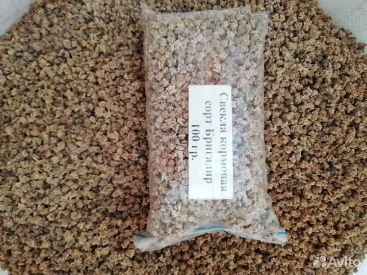 Семена кормовой свёклы Эккендорфская Лада Бригадир