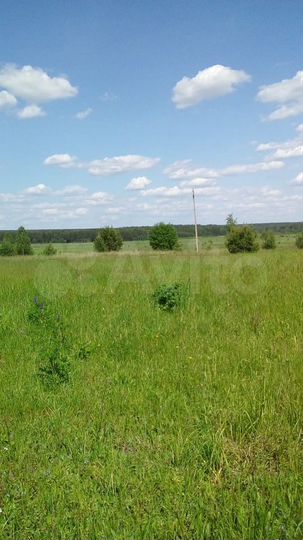 Участок 20 сот. (ИЖС)