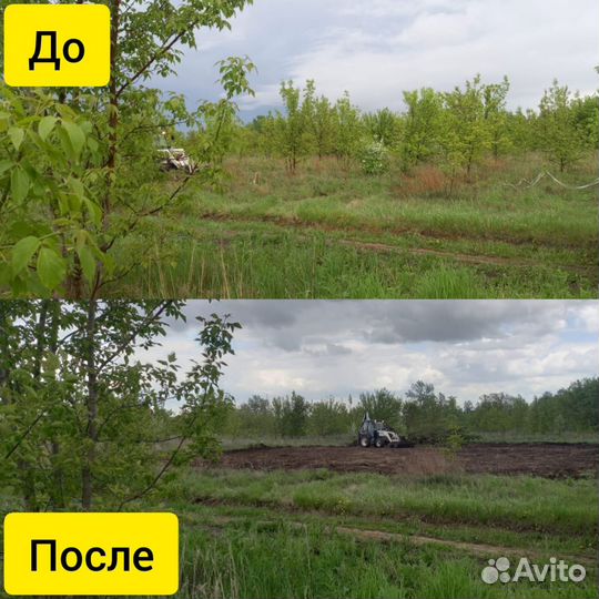 Расчистка участков