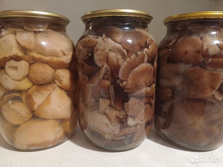 Продам грибы